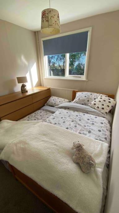 Cheerful 3 Bedroom Bungalow With Indoor Fire Place グロスター エクステリア 写真